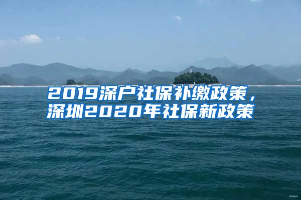 2019深户社保补缴政策，深圳2020年社保新政策