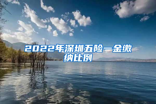 2022年深圳五险一金缴纳比例