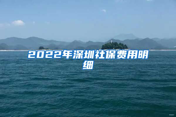 2022年深圳社保费用明细