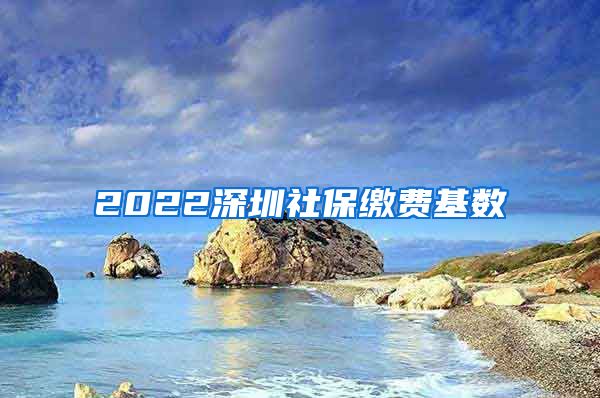 2022深圳社保缴费基数