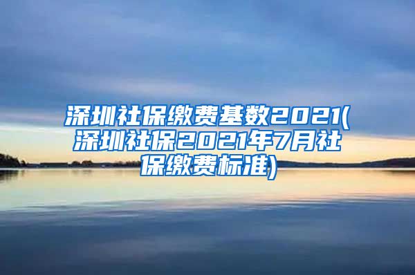 深圳社保缴费基数2021(深圳社保2021年7月社保缴费标准)