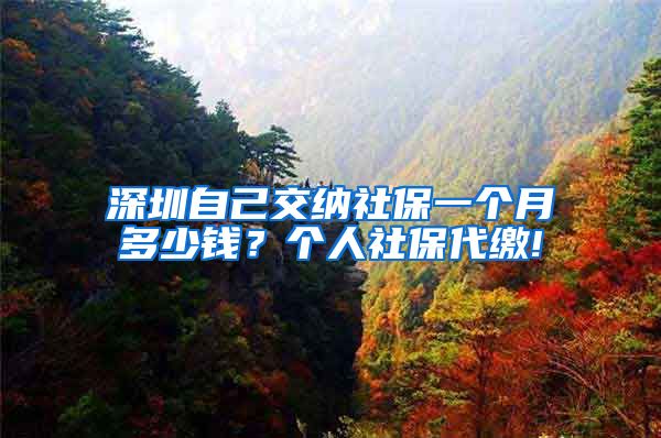 深圳自己交纳社保一个月多少钱？个人社保代缴!