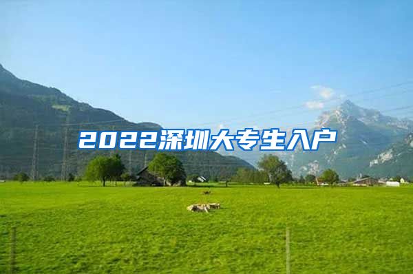 2022深圳大专生入户