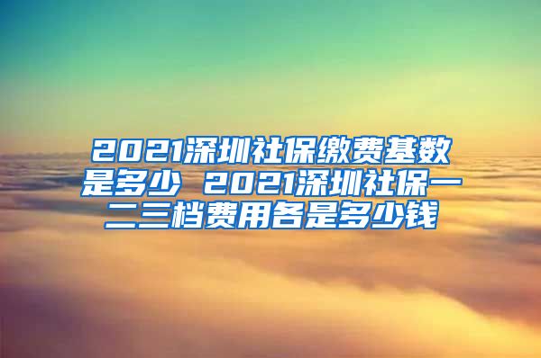 2021深圳社保缴费基数是多少 2021深圳社保一二三档费用各是多少钱