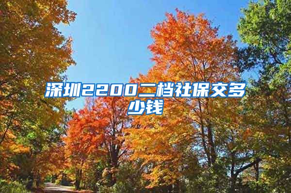 深圳2200二档社保交多少钱