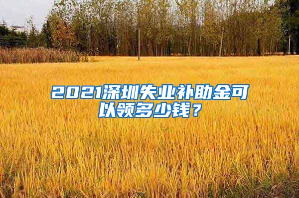 2021深圳失业补助金可以领多少钱？