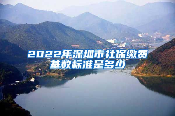 2022年深圳市社保缴费基数标准是多少
