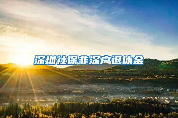 深圳社保非深户退休金