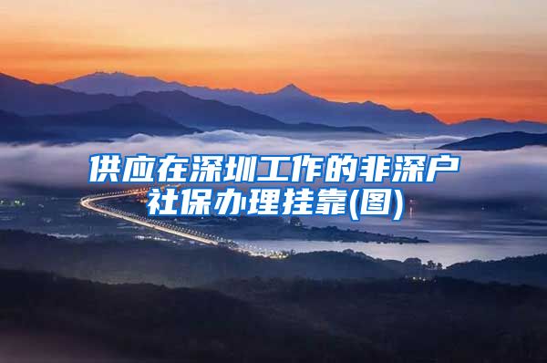 供应在深圳工作的非深户社保办理挂靠(图)