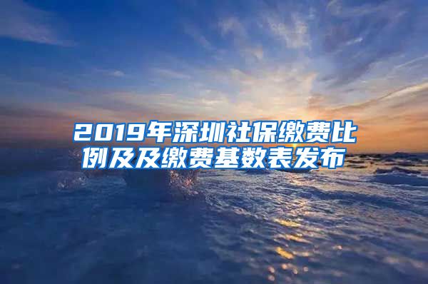 2019年深圳社保缴费比例及及缴费基数表发布