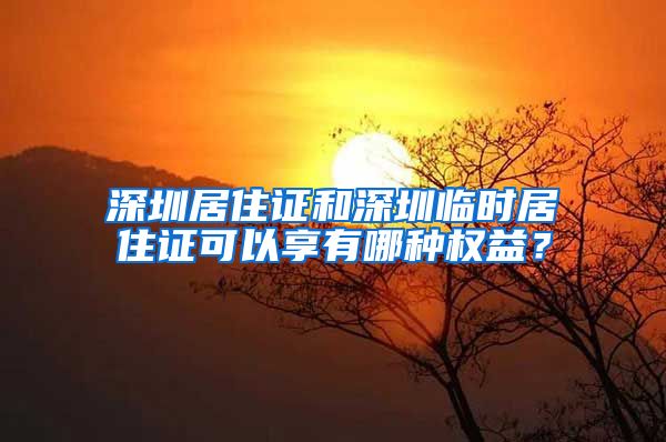 深圳居住证和深圳临时居住证可以享有哪种权益？