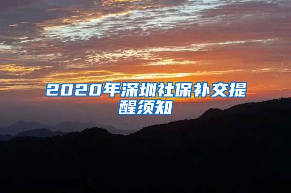 2020年深圳社保补交提醒须知