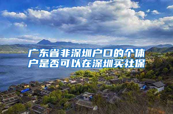 广东省非深圳户口的个体户是否可以在深圳买社保