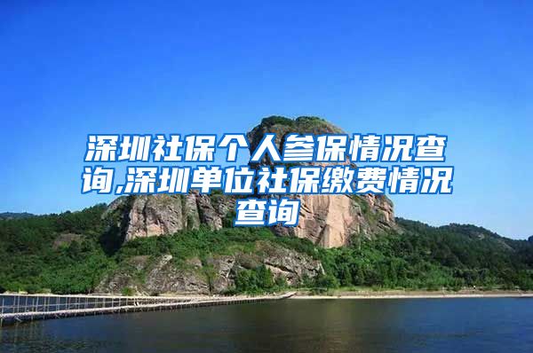 深圳社保个人参保情况查询,深圳单位社保缴费情况查询