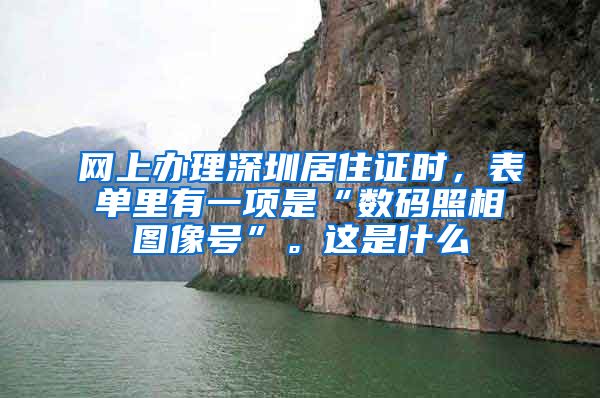 网上办理深圳居住证时，表单里有一项是“数码照相图像号”。这是什么