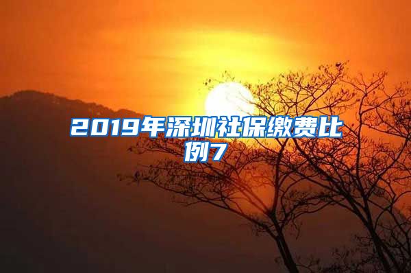 2019年深圳社保缴费比例7