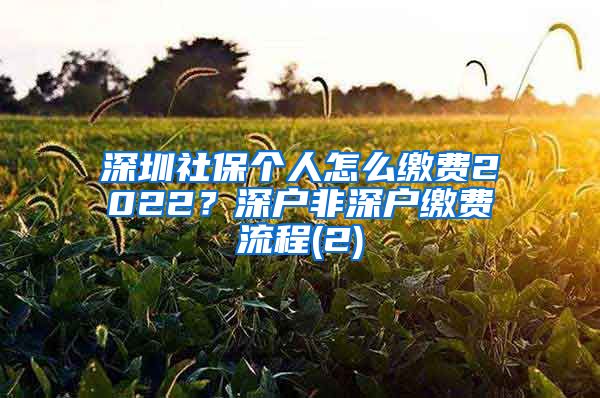 深圳社保个人怎么缴费2022？深户非深户缴费流程(2)