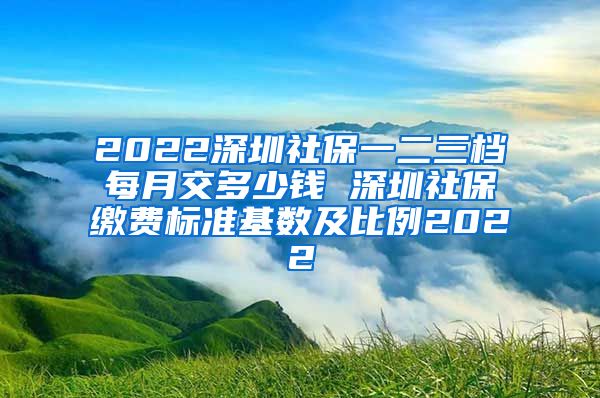 2022深圳社保一二三档每月交多少钱 深圳社保缴费标准基数及比例2022