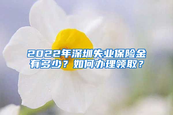 2022年深圳失业保险金有多少？如何办理领取？