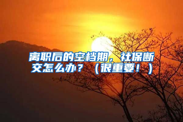 离职后的空档期，社保断交怎么办？（很重要！）