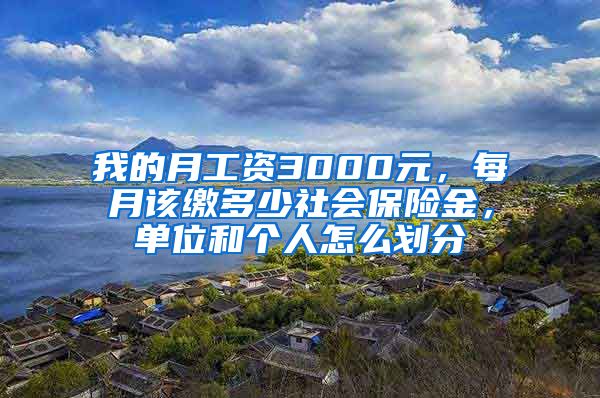 我的月工资3000元，每月该缴多少社会保险金，单位和个人怎么划分