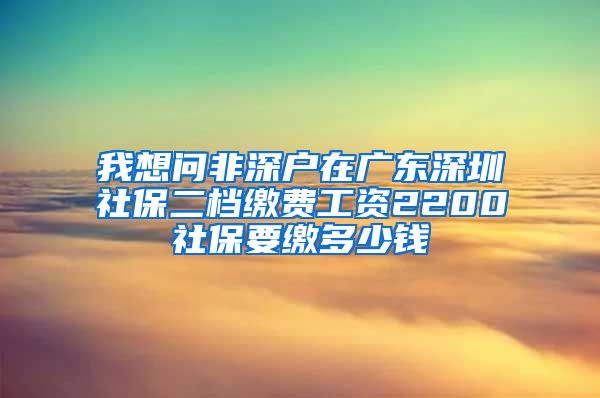 我想问非深户在广东深圳社保二档缴费工资2200社保要缴多少钱