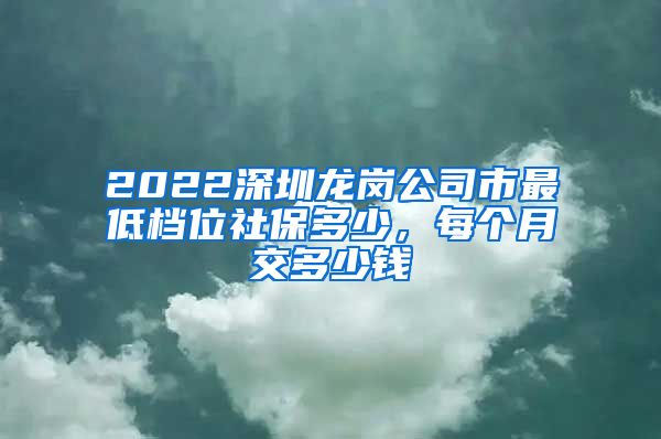 2022深圳龙岗公司市最低档位社保多少，每个月交多少钱
