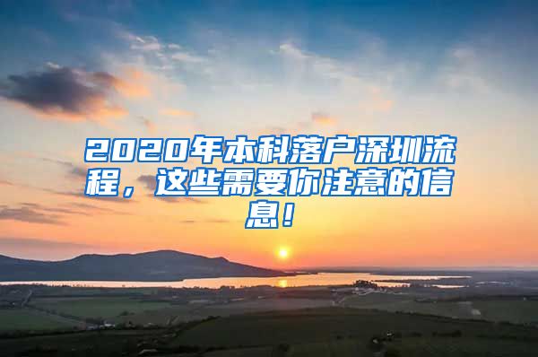 2020年本科落户深圳流程，这些需要你注意的信息！