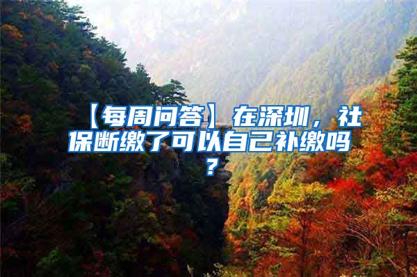 【每周问答】在深圳，社保断缴了可以自己补缴吗？
