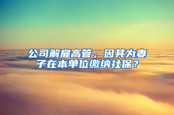 公司解雇高管，因其为妻子在本单位缴纳社保？