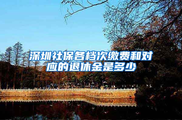 深圳社保各档次缴费和对应的退休金是多少