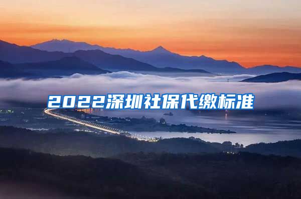 2022深圳社保代缴标准