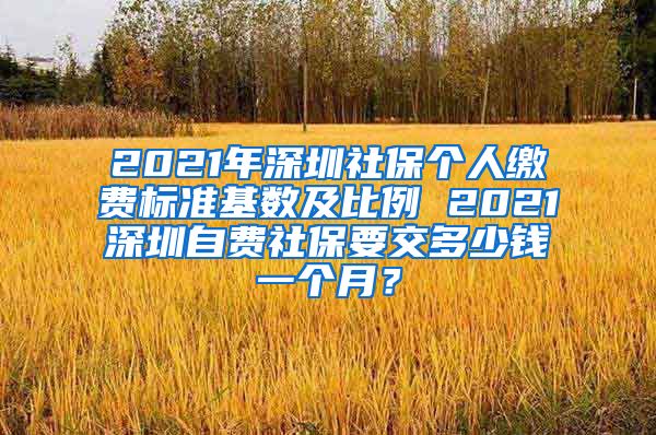 2021年深圳社保个人缴费标准基数及比例 2021深圳自费社保要交多少钱一个月？