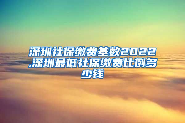 深圳社保缴费基数2022,深圳最低社保缴费比例多少钱