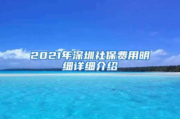 2021年深圳社保费用明细详细介绍