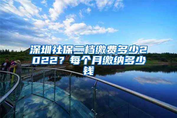 深圳社保二档缴费多少2022？每个月缴纳多少钱