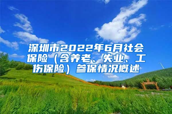 深圳市2022年6月社会保险（含养老、失业、工伤保险）参保情况概述
