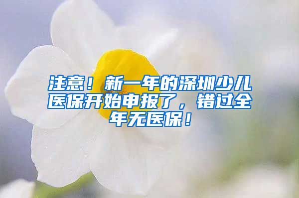 注意！新一年的深圳少儿医保开始申报了，错过全年无医保！