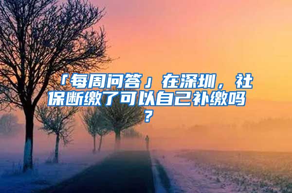 「每周问答」在深圳，社保断缴了可以自己补缴吗？