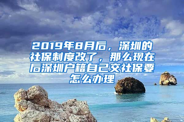 2019年8月后，深圳的社保制度改了，那么现在后深圳户籍自己交社保要怎么办理
