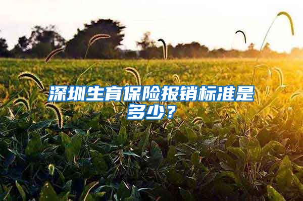 深圳生育保险报销标准是多少？