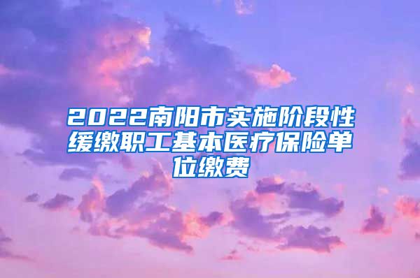 2022南阳市实施阶段性缓缴职工基本医疗保险单位缴费