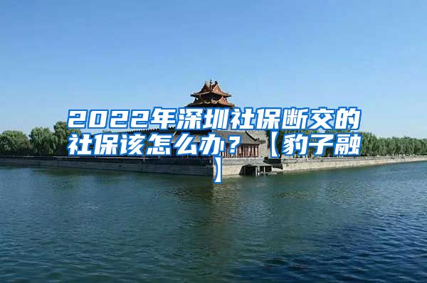 2022年深圳社保断交的社保该怎么办？【豹子融】
