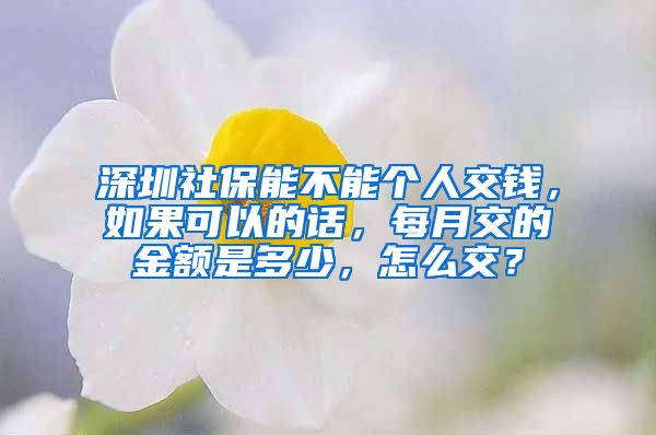 深圳社保能不能个人交钱，如果可以的话，每月交的金额是多少，怎么交？