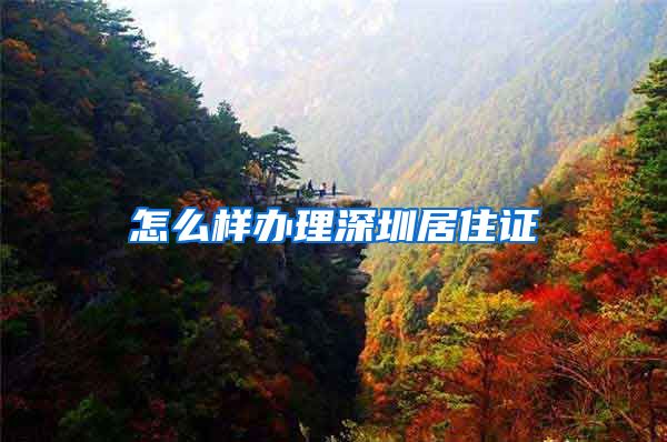 怎么样办理深圳居住证