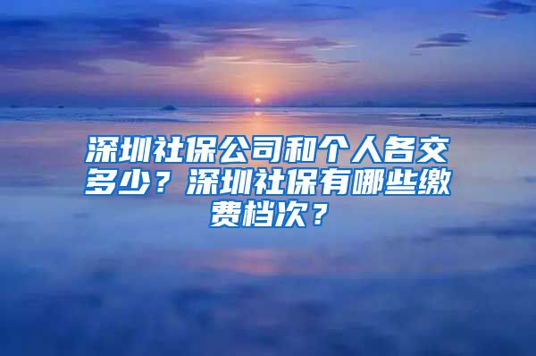 深圳社保公司和个人各交多少？深圳社保有哪些缴费档次？
