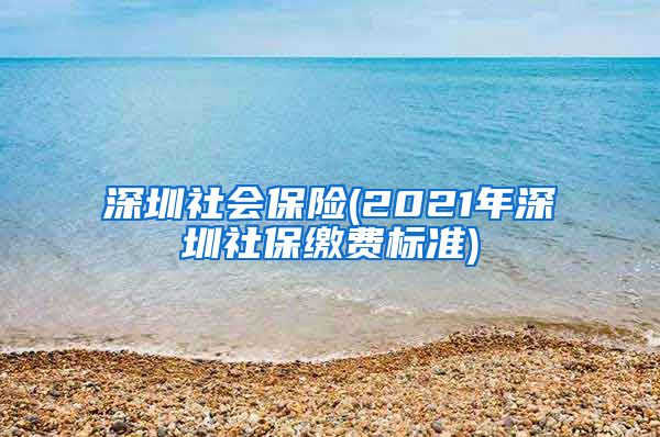 深圳社会保险(2021年深圳社保缴费标准)