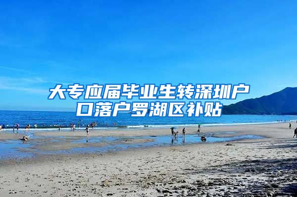 大专应届毕业生转深圳户口落户罗湖区补贴