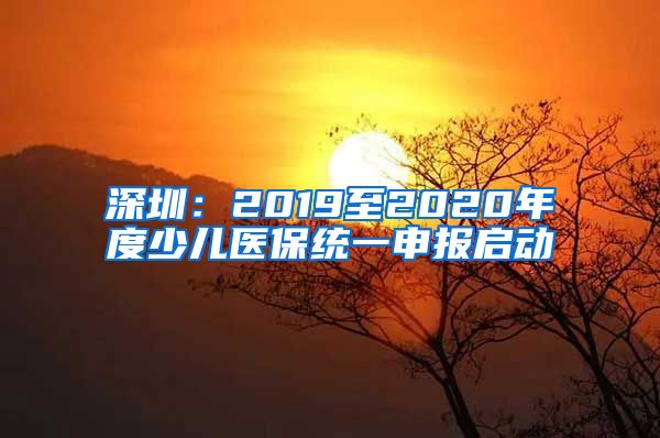 深圳：2019至2020年度少儿医保统一申报启动