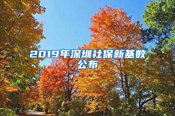 2019年深圳社保新基数公布